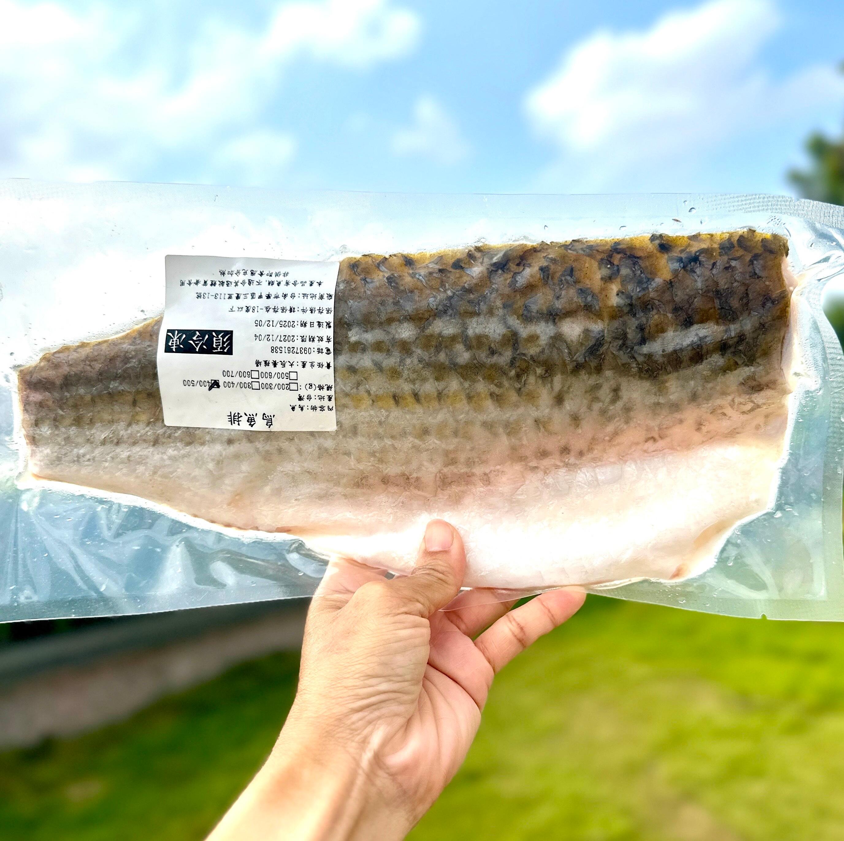 烏魚排（400/500）