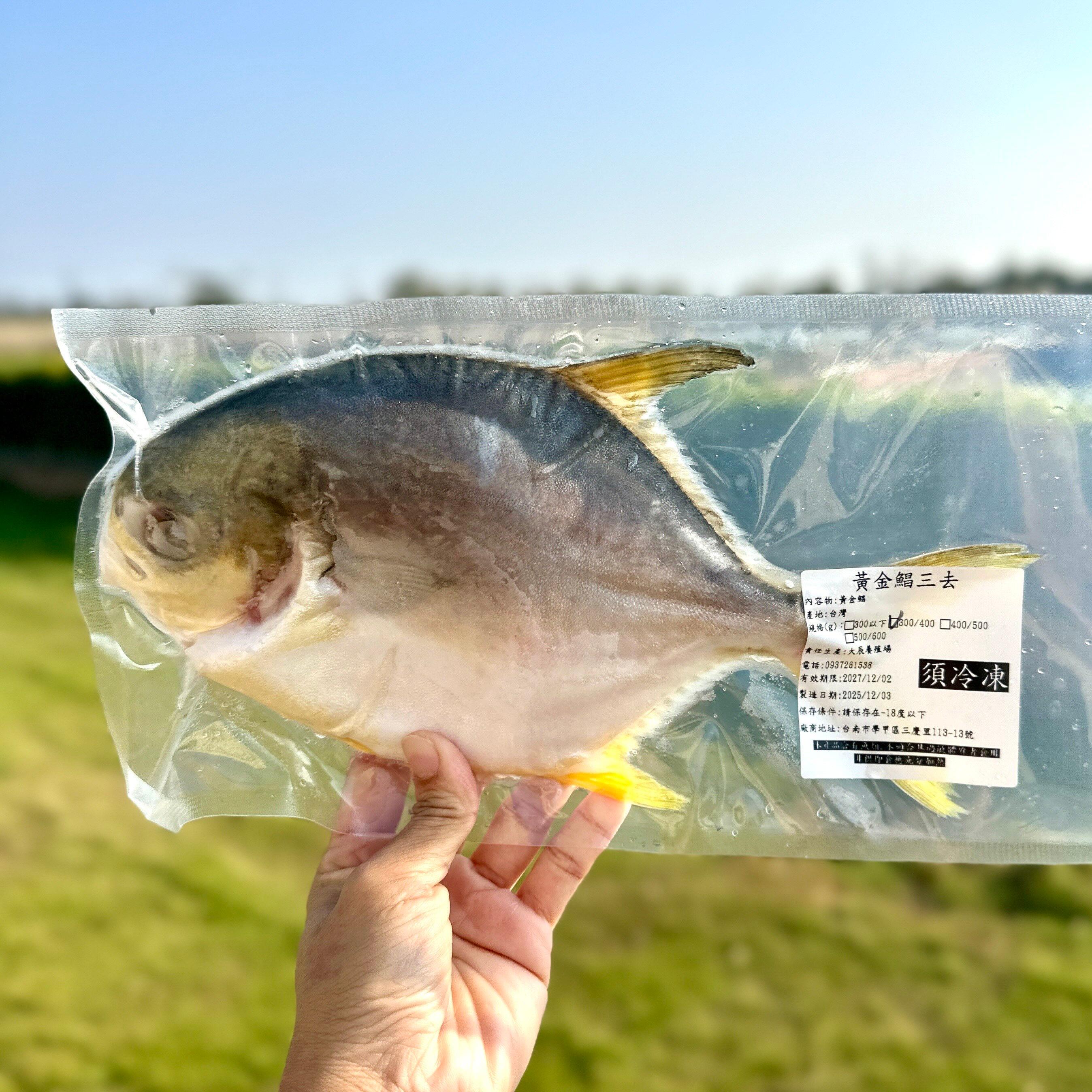 活力黃金鯧（300/400）
